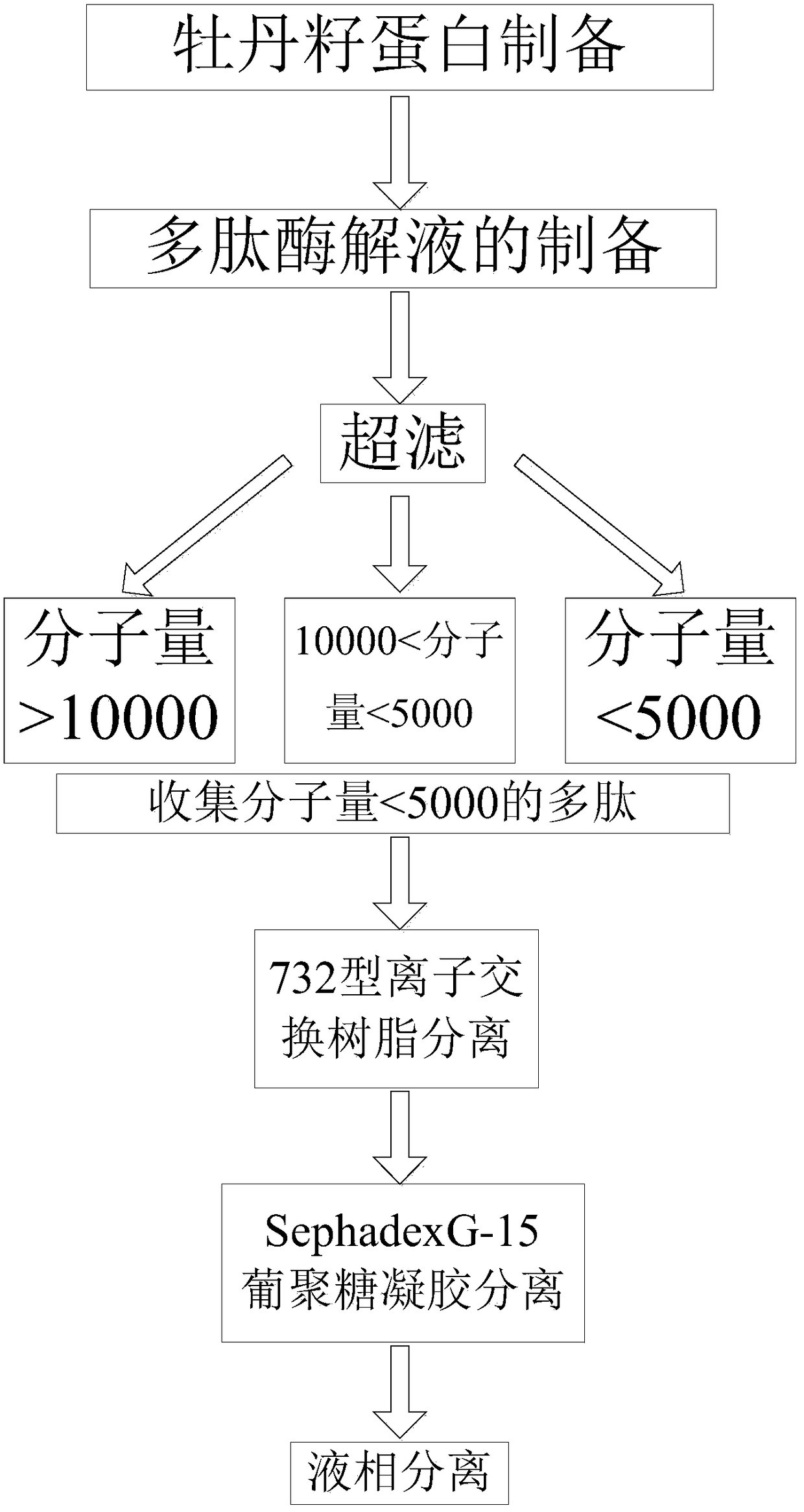 A kind of peony seed hypoglycemic peptide and its purification method and application