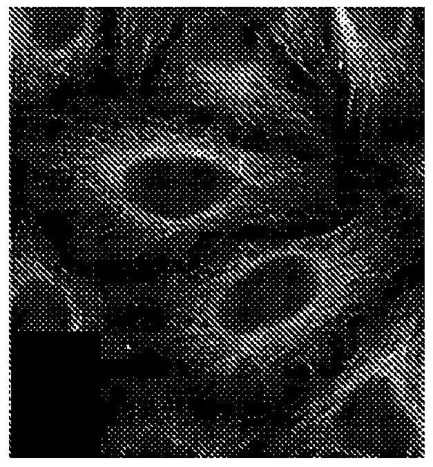 Taccalonolide microtubule stabilizers