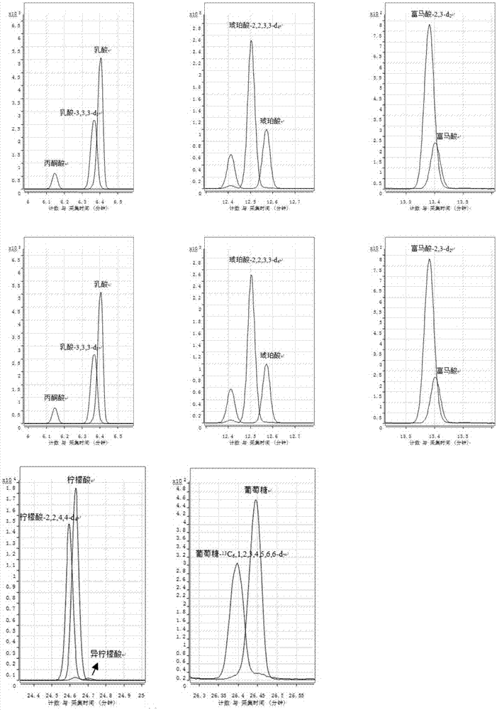 Analysis method of glucose energy metabolism-related important metabolites in serum samples