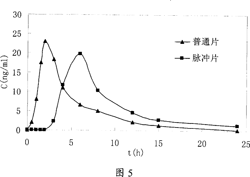Punailuoer or delayed-release preparation of salt thereof and preparation method thereof