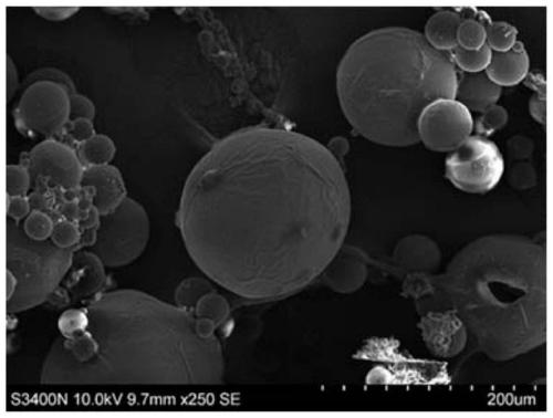 Hydrogel for repairing peripheral nerve injury and preparation method of hydrogel