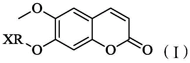 Scopoletin derivatives and their preparation methods and applications