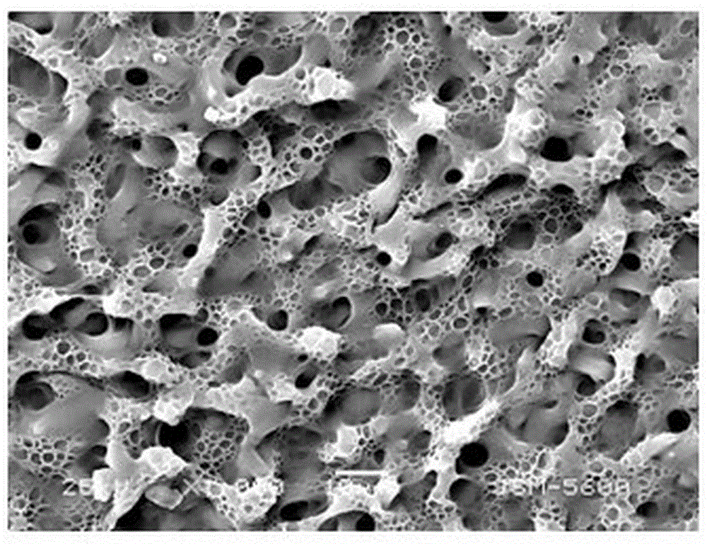 Preparation method of latticed microporous film formed by macromolecule crosslinking