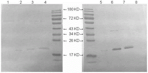 Human VEGF detection combination reagent, reagent box and use method thereof