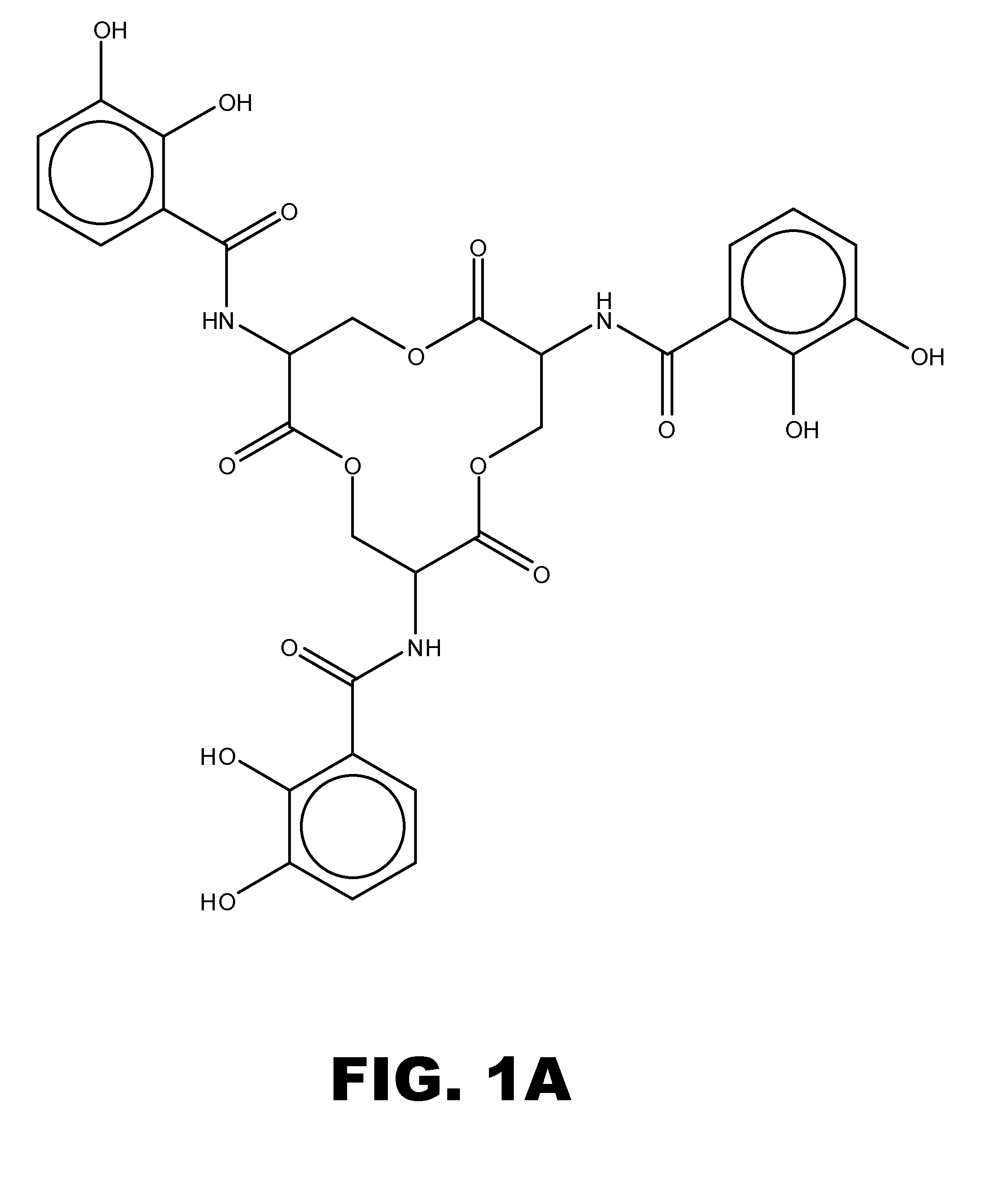 Methods and compositions for detecting pathogenic bacteria