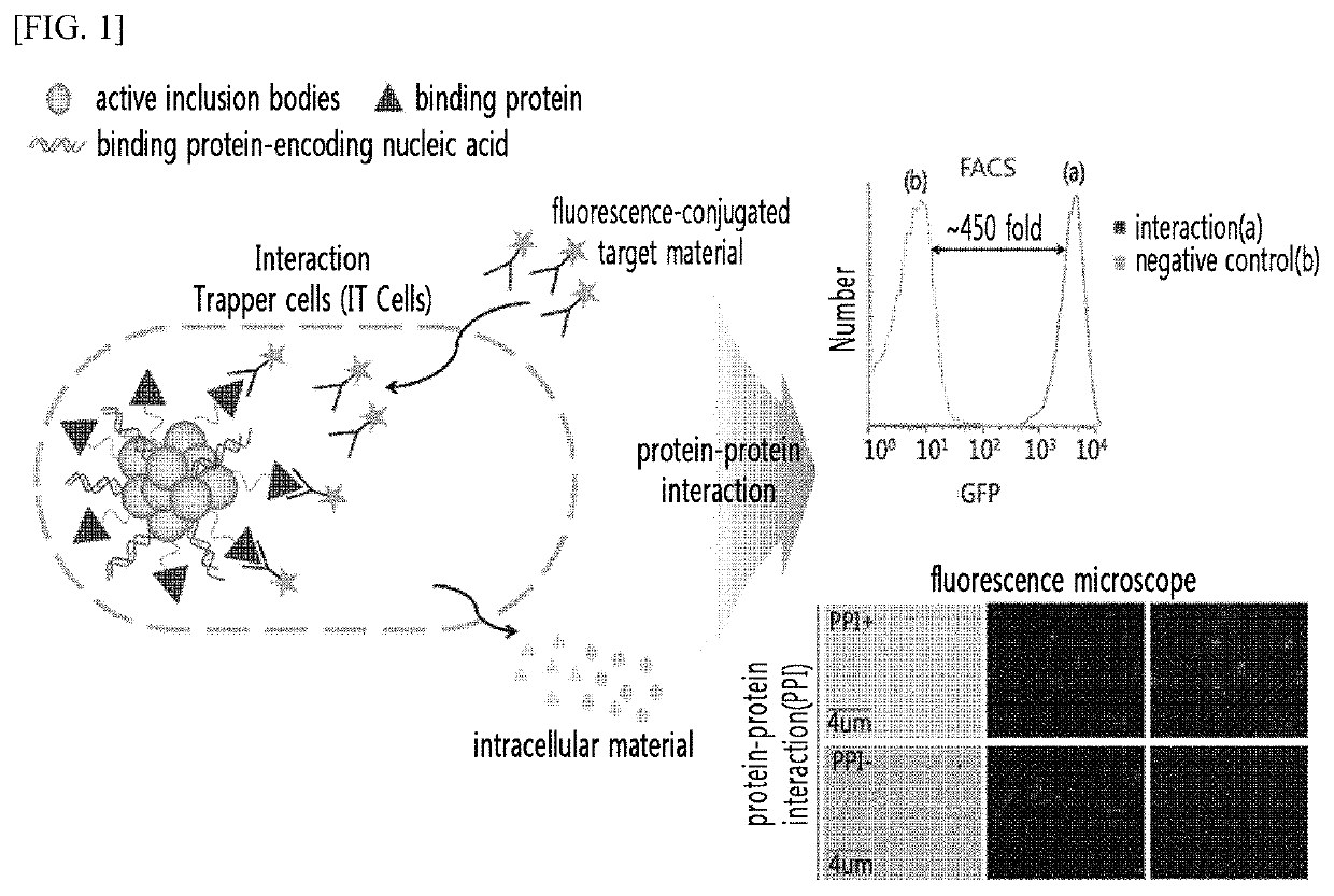 Analysis method of molecular interactions on protein nanoparticles using flow cytometry