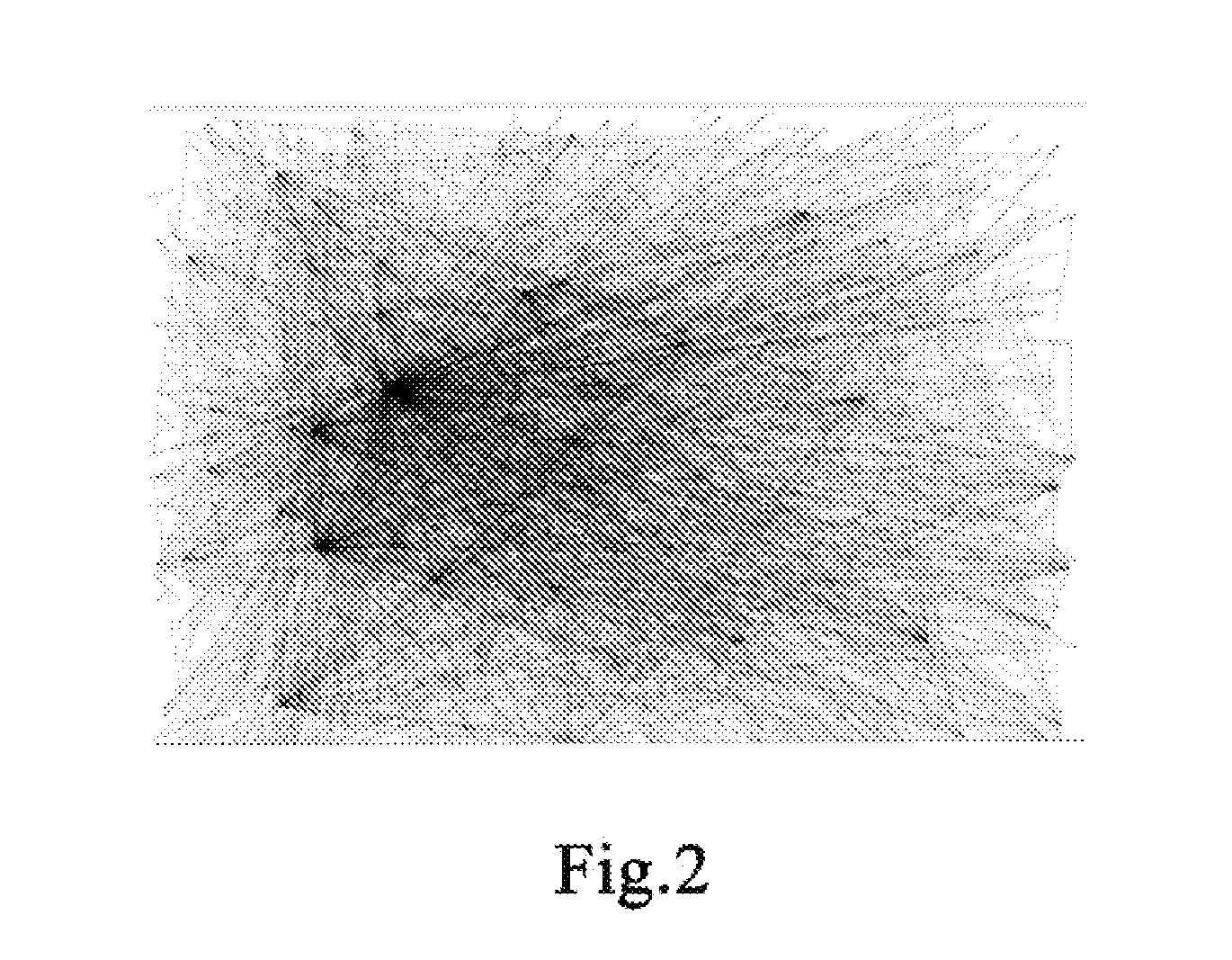 Deadlock detection method and system for parallel programs