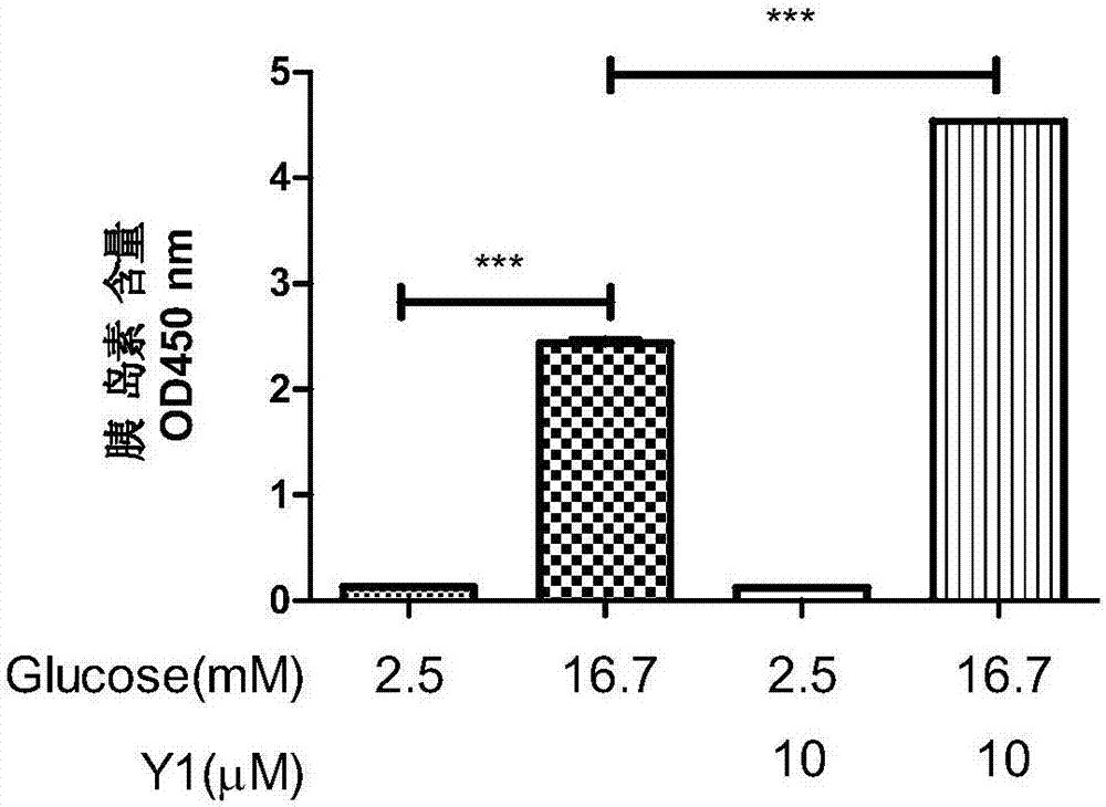 N-aryl-2-thiophene amide derivative, method for preparing same and application of N-aryl-2-thiophene amide derivative