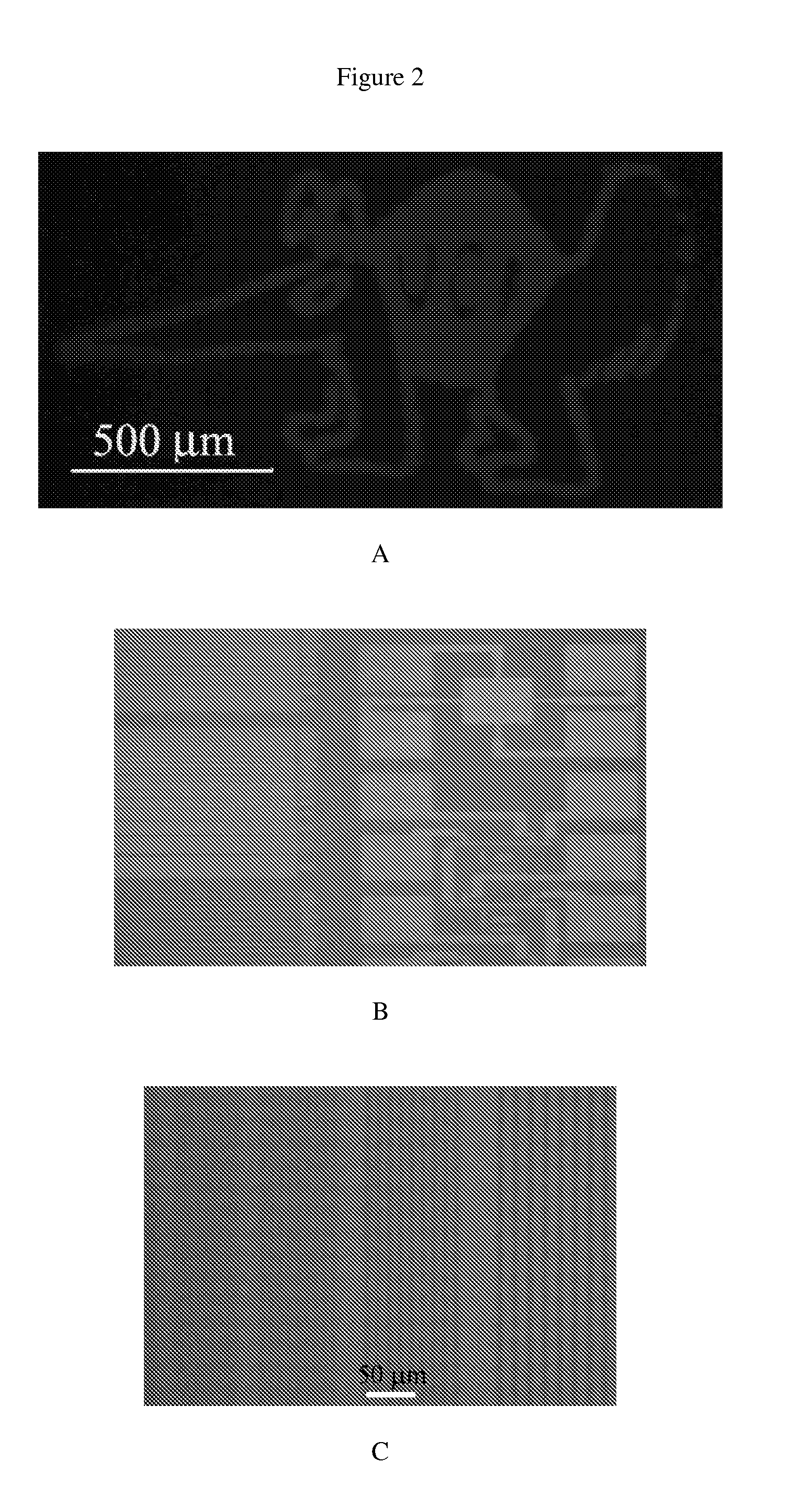 Self-indicating photo-repatternable hybrid materials and polymers