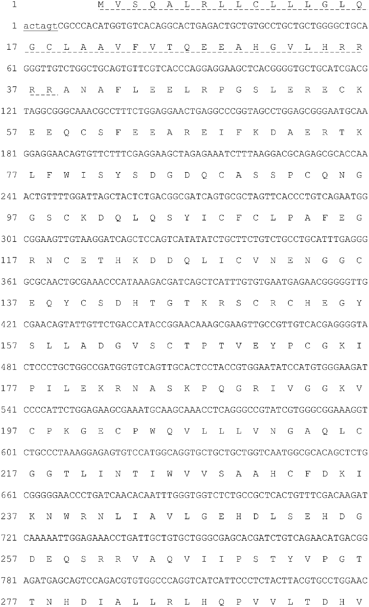 Activated human blood coagulation factor VII fusion protein and its preparation method and application