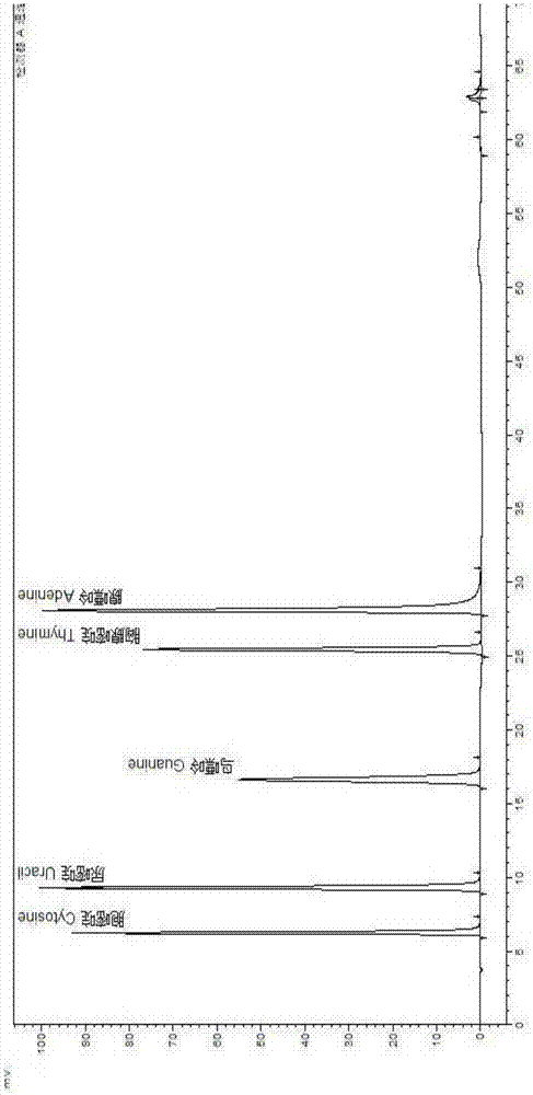 Method for evaluating destroy degree on nucleotide of determination method and production technology of free nucleic acid hydrolysate in protein product