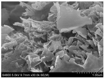 Method for preparing three-dimensional porous nitrogen-sulfur doped carbon nanosheet