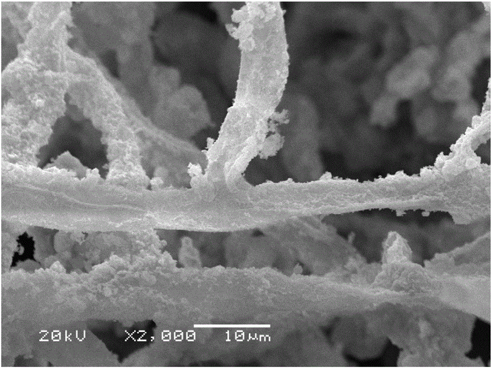 Iron-based biochar material as well as preparation and application thereof