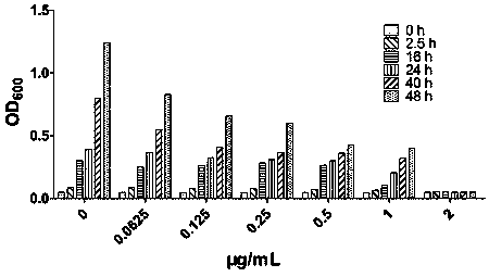 Antibacterial drug for targeted therapy of staphylococcal infection by synergizing with antibiotic as well as synthesis method and application of antibacterial drug