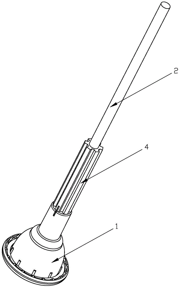 Glans penis holder for circumcision apparatus