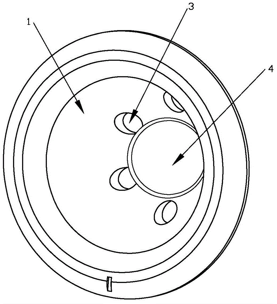 Glans penis holder for circumcision apparatus