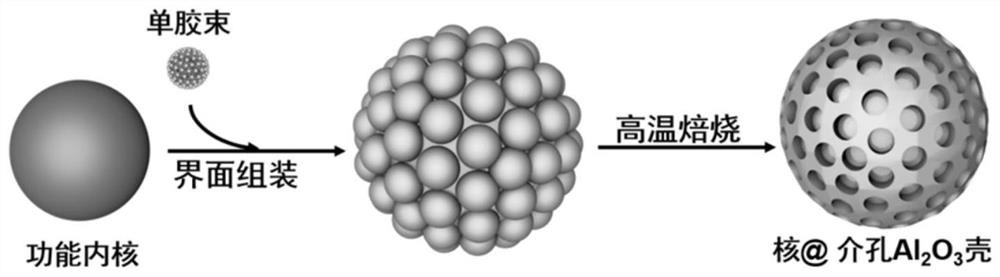 A mesoporous alumina-based core-shell composite material and its single micelle-guided interface assembly method and application