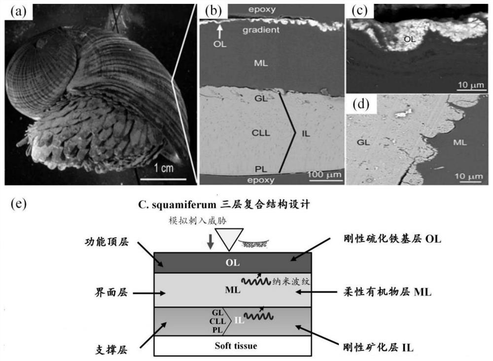 A kind of nanometer tool coating and preparation method thereof