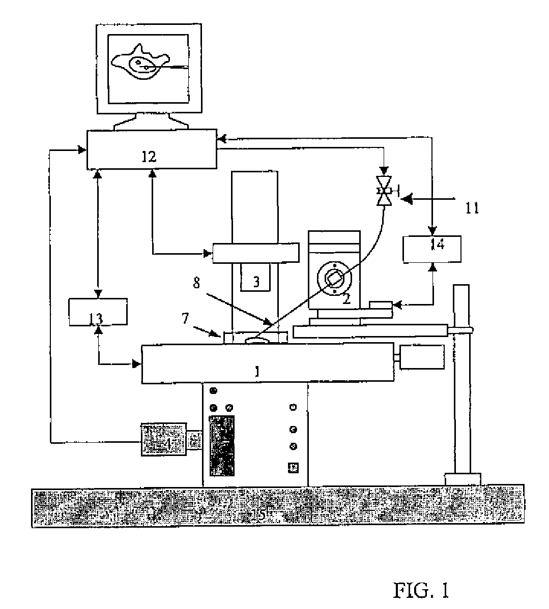 Vision based method for micromanipulating biological samples