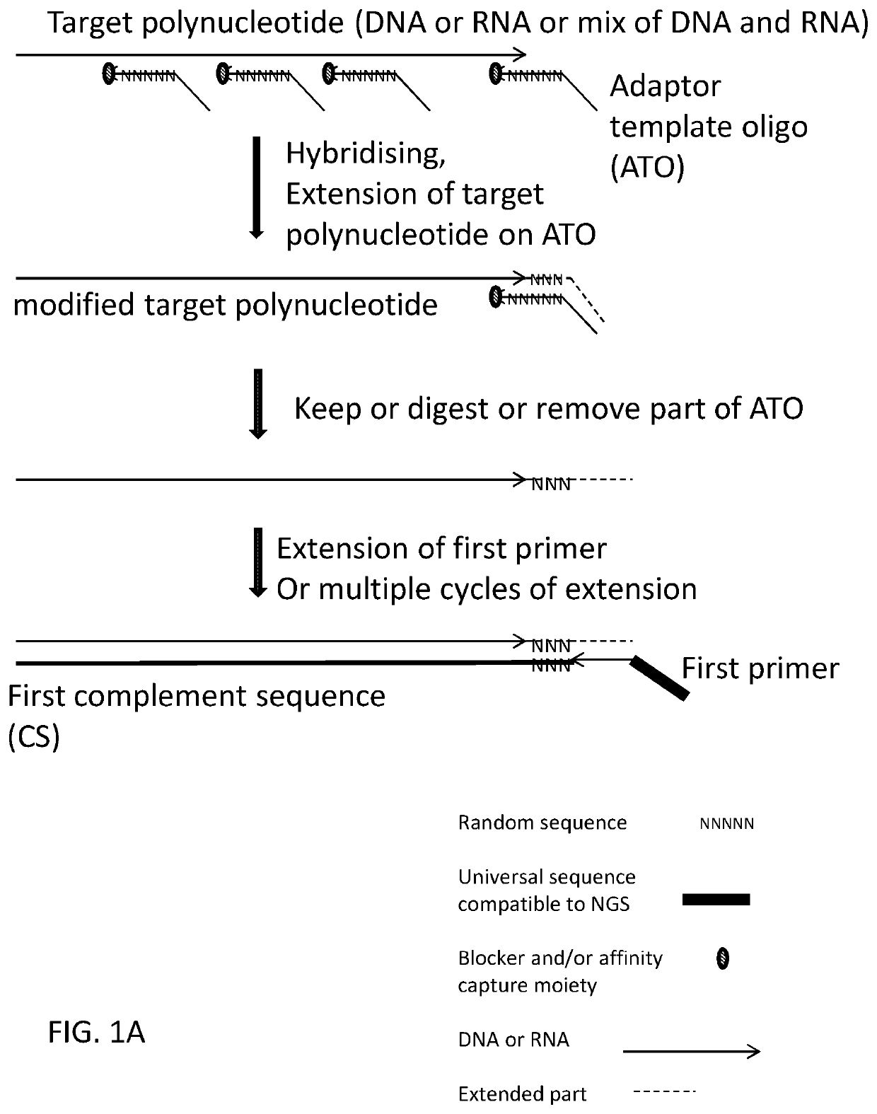 Methods, compositions, and kits for preparing nucleic acid libraries