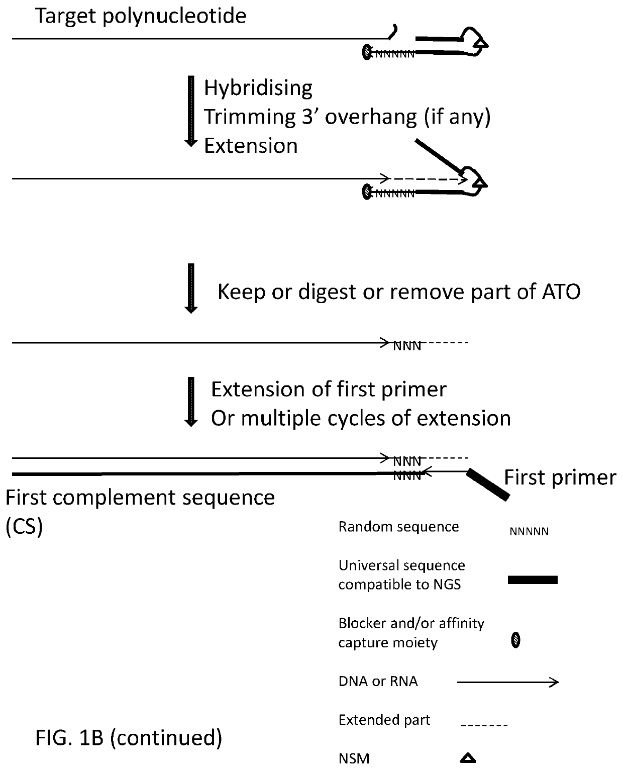 Methods, compositions, and kits for preparing nucleic acid libraries