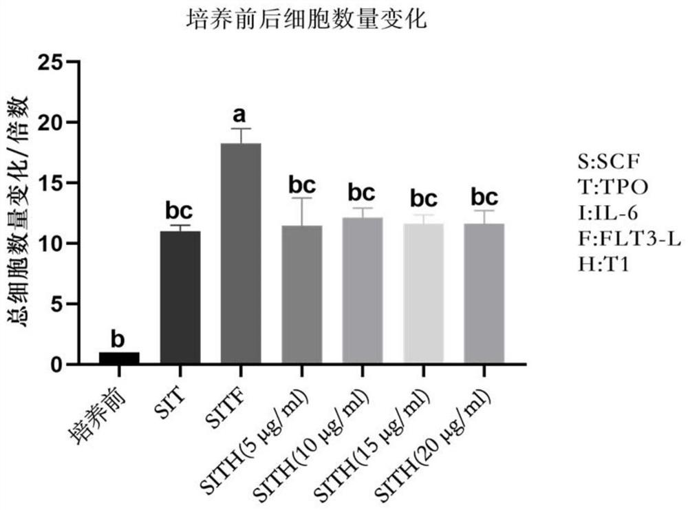 Application of t1 peptide in promoting proliferation of umbilical cord blood hematopoietic stem cells in vitro