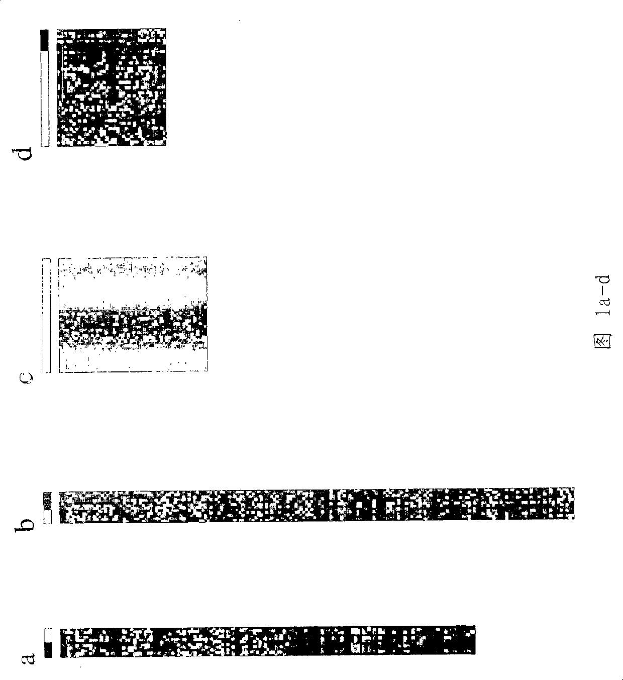 Method for confirming tumour differentiation grade