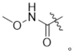 Silybin derivative containing carbamic acid structure and application of silybin derivative