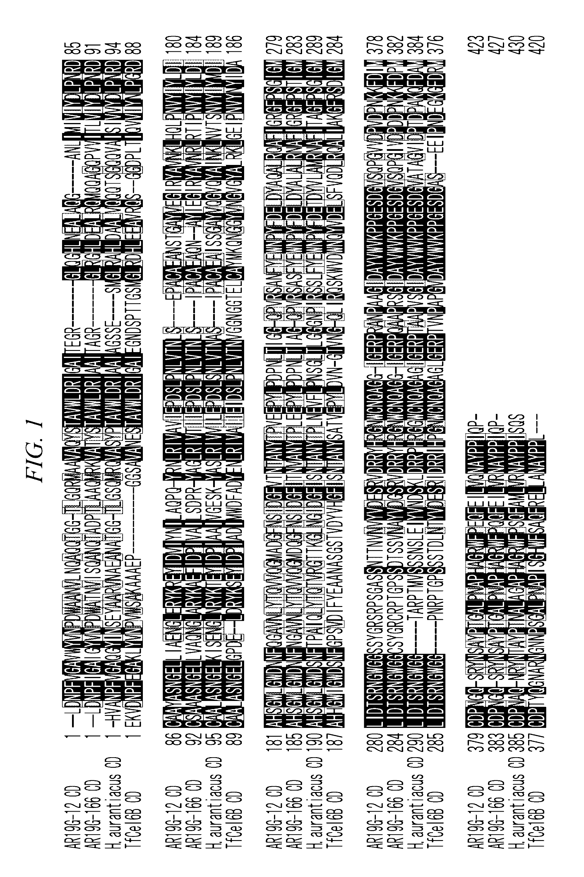 Thermostable cellobiohydrolase and amino acid substituted variant thereof