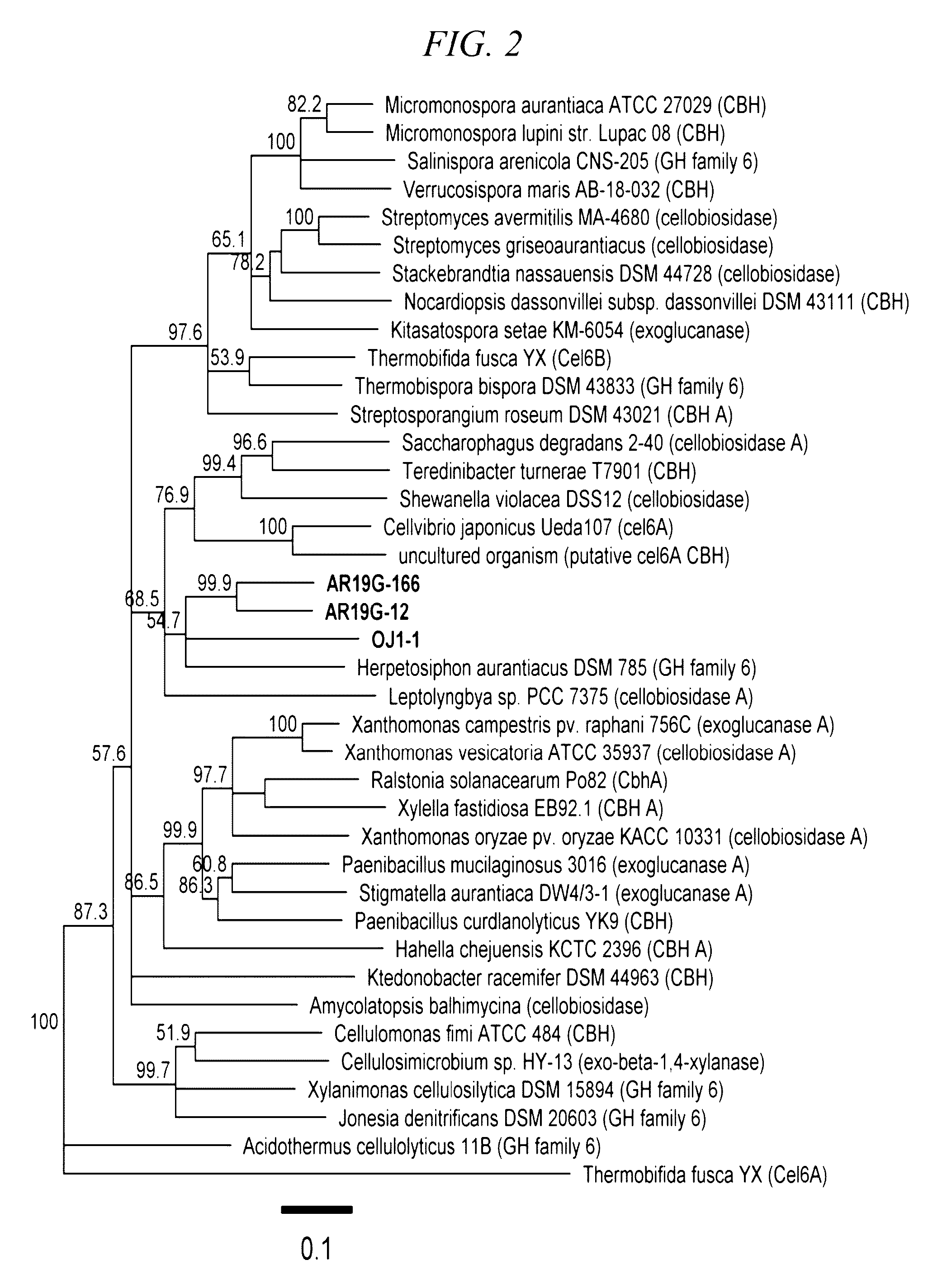 Thermostable cellobiohydrolase and amino acid substituted variant thereof
