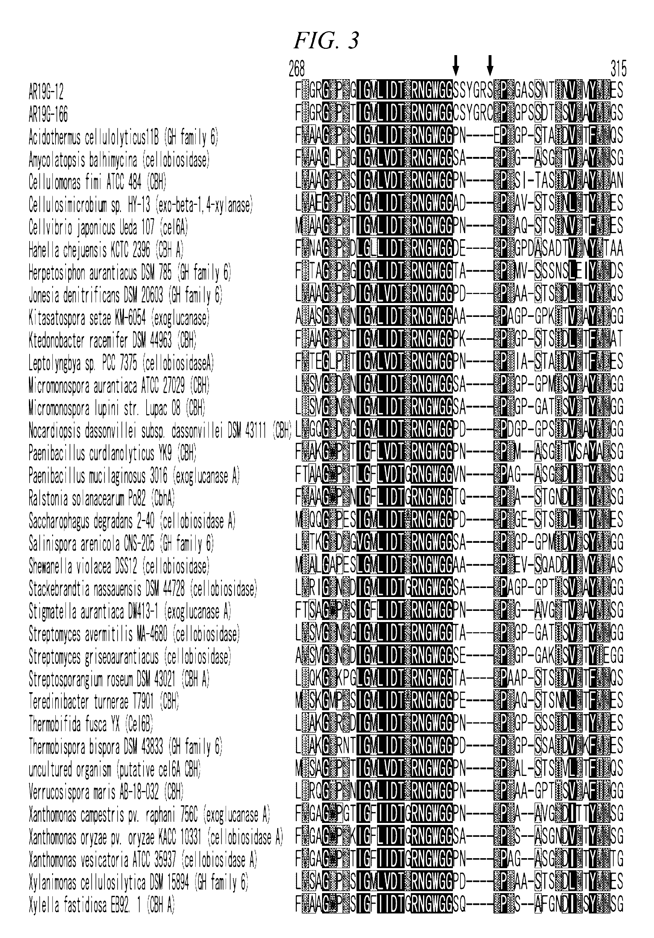 Thermostable cellobiohydrolase and amino acid substituted variant thereof