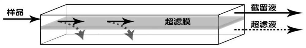 An in-situ tangential flow ultrafiltration device for groundwater colloids