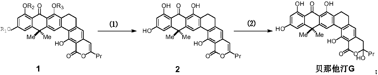 Method for synthesizing benastatin G