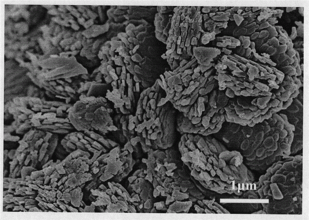 ZSM-5 molecular sieve with nanosheet layer structure and synthesis method thereof