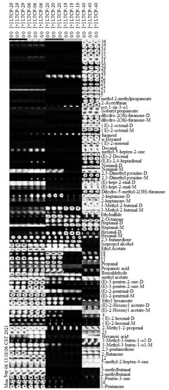 Method for distinguishing special-grade virgin olive oil from other olive oil based on flavor markers