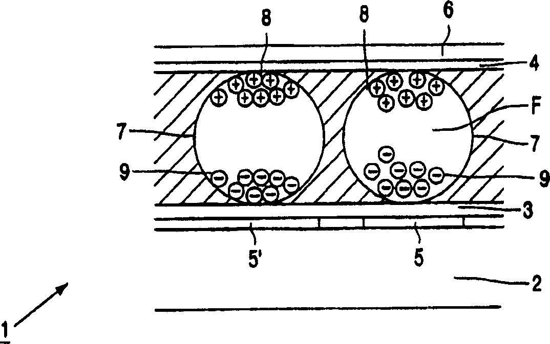 Electrophoretic display device