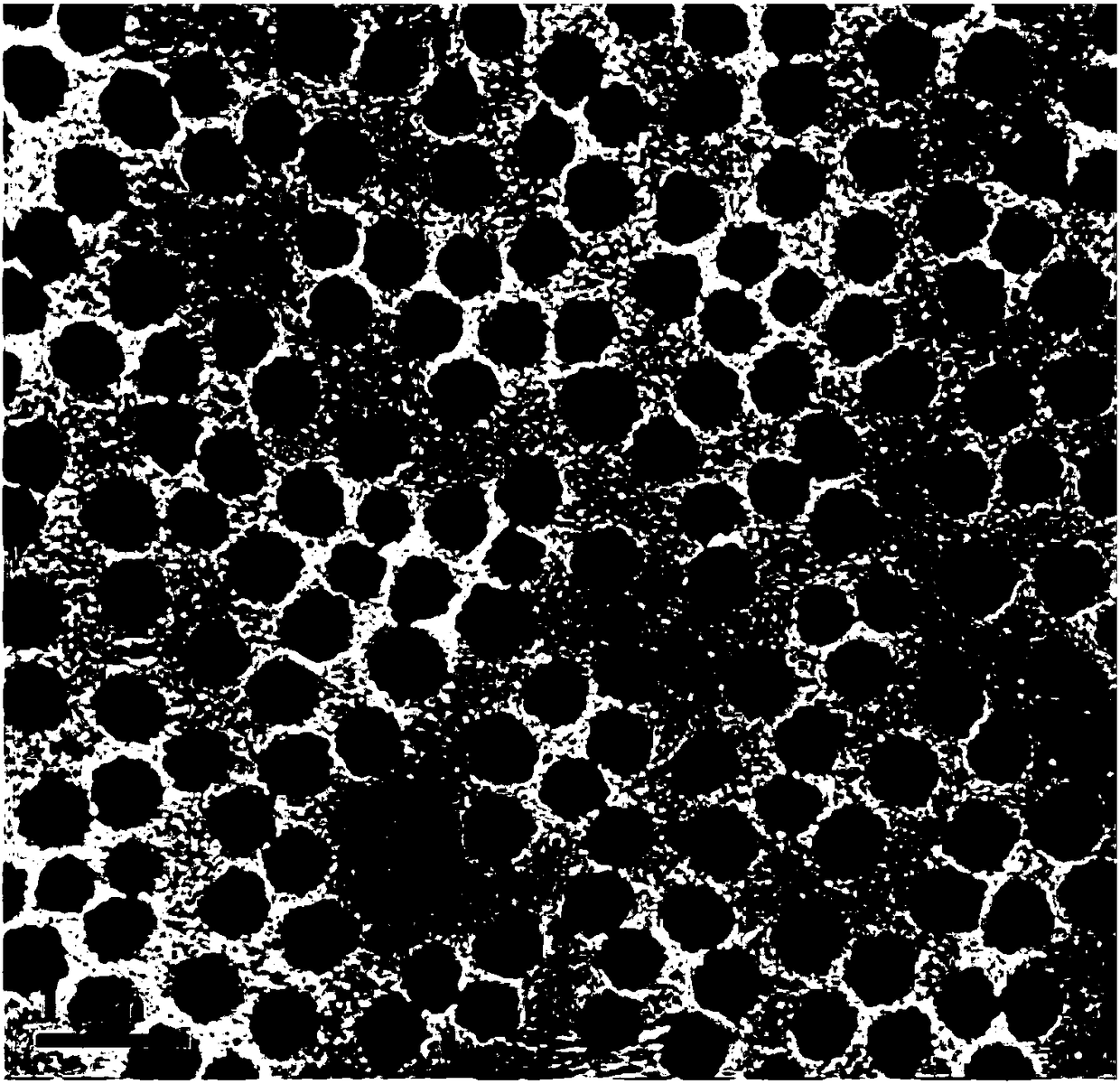 Preparation method of microhydrogel capable of simultaneously loading and releasing hydrophilic and hydrophobic drugs