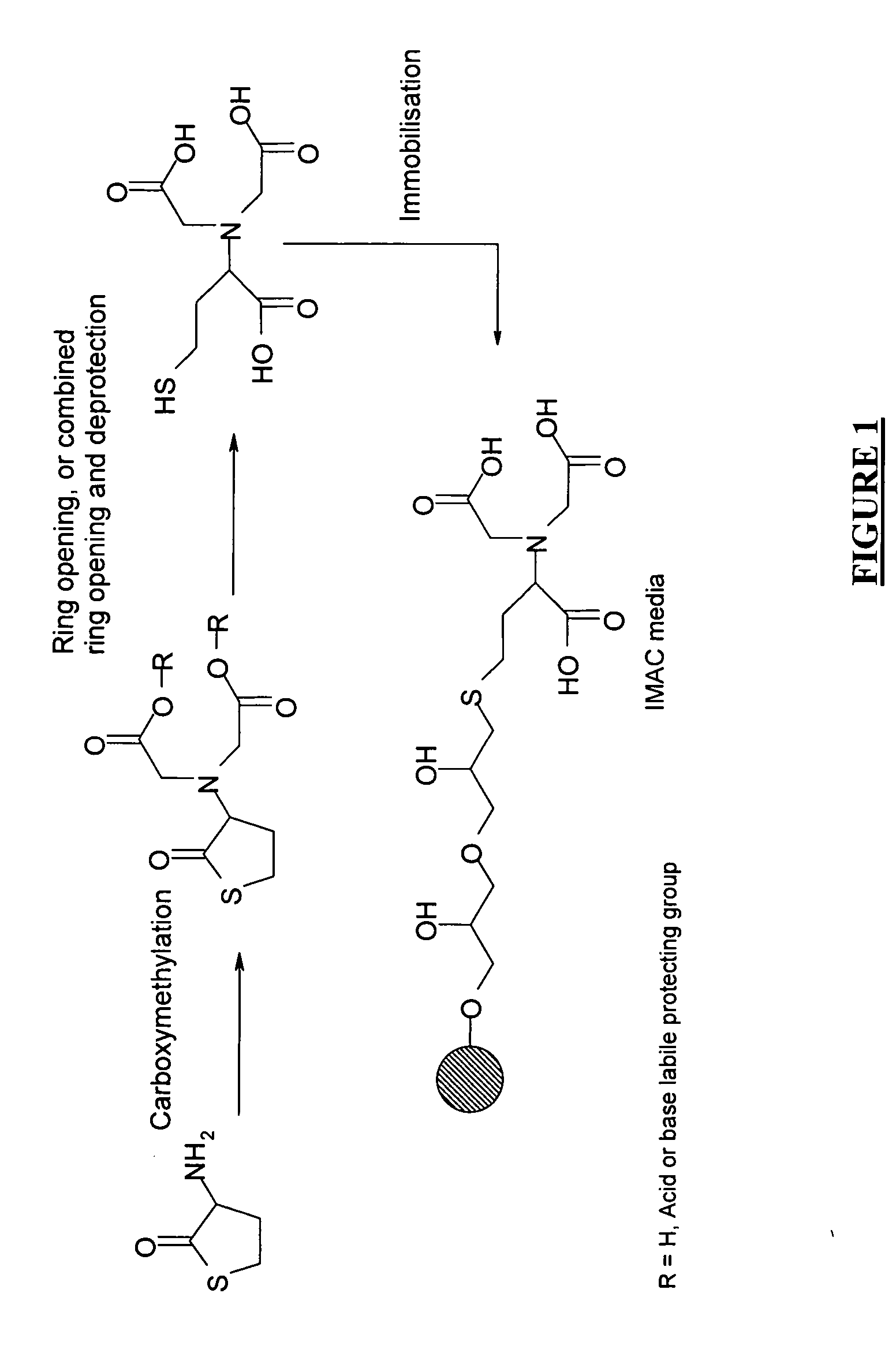 Method of generating metal chelating affinity ligands