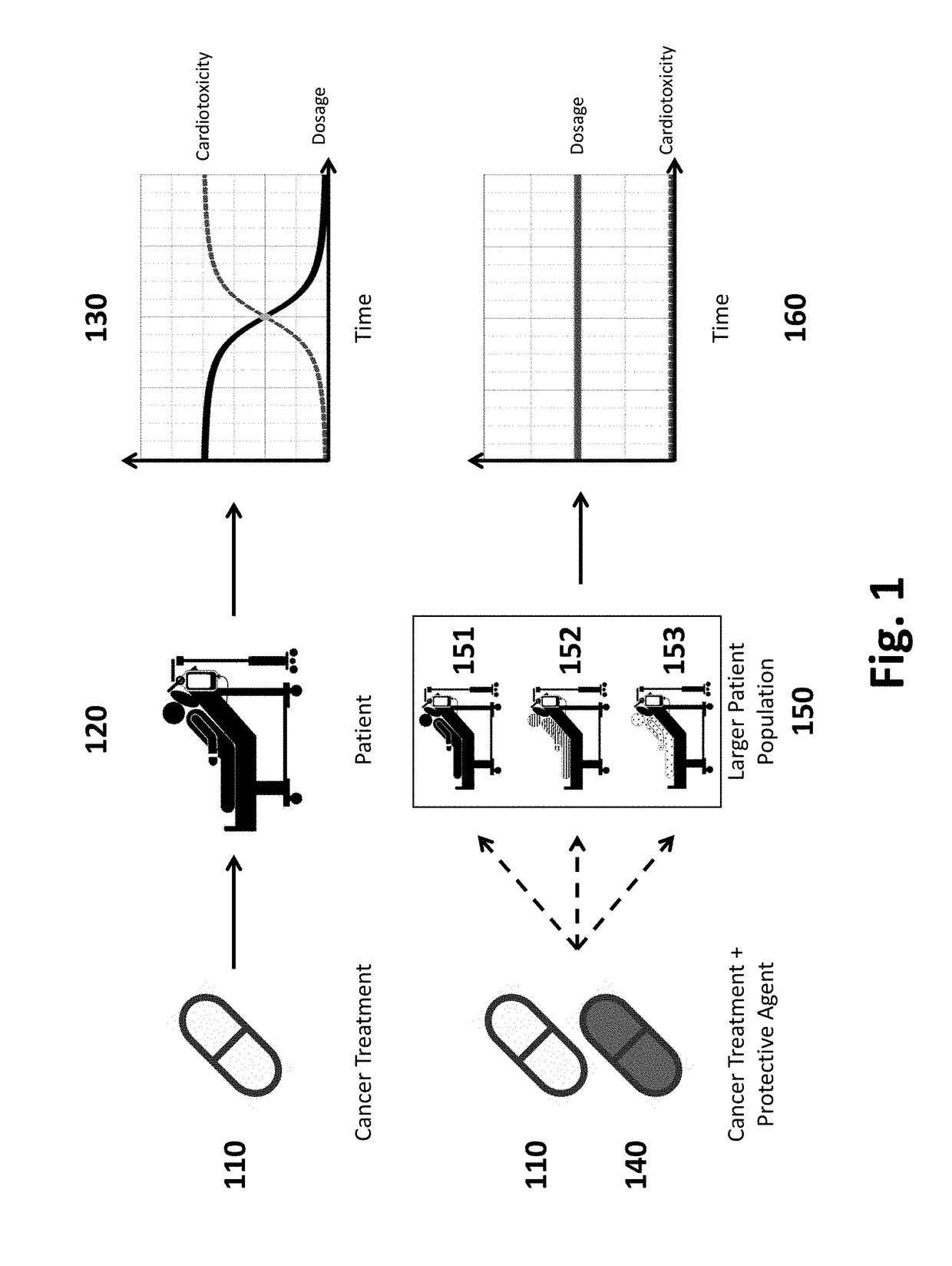 Pharmaceutical compositions and methods for countering chemotherapy induced cardiotoxicity