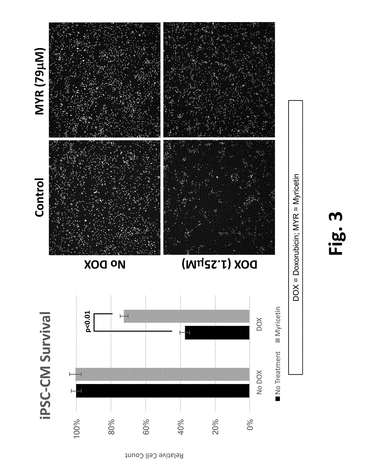 Pharmaceutical compositions and methods for countering chemotherapy induced cardiotoxicity