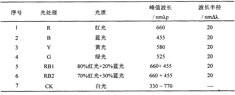 Culture method of ellcalyplus grandis Hill ex Maid tissue culture seedling