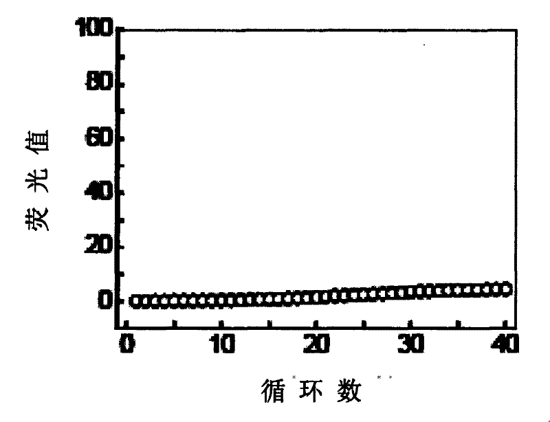Primers and probes for detecting human EGFR gene mutations as well as use method thereof