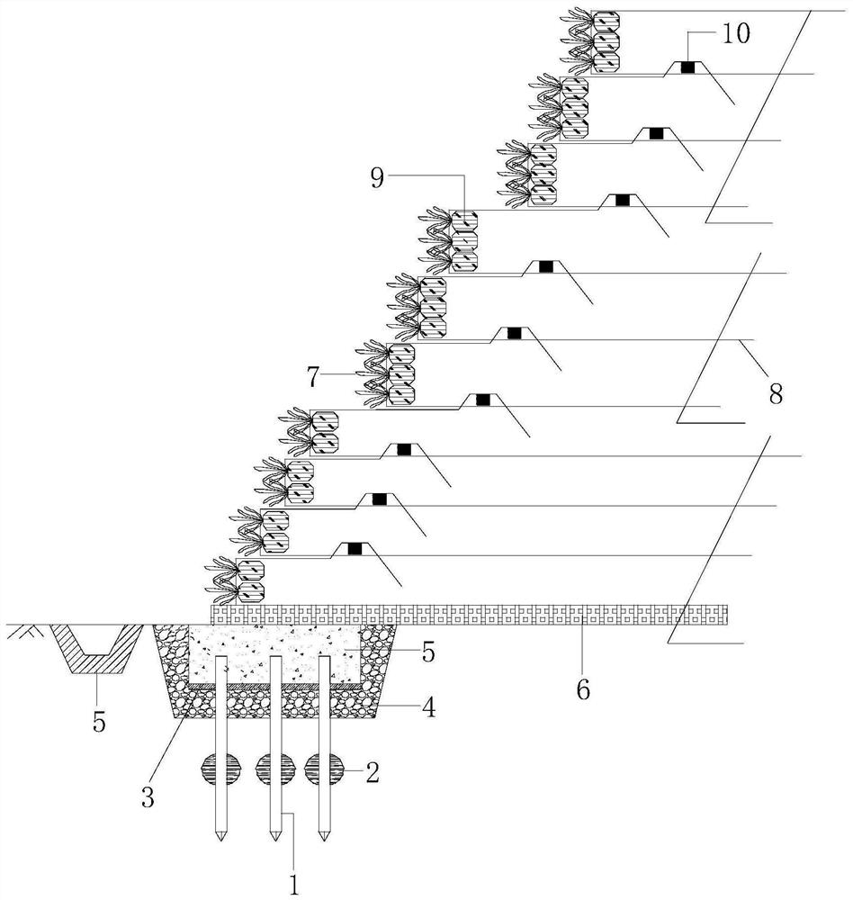 Panel-free reinforced soil ecological slope protection system and construction method thereof
