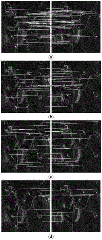 SAR image registration method based on multi-scale image block characteristics and sparse expression