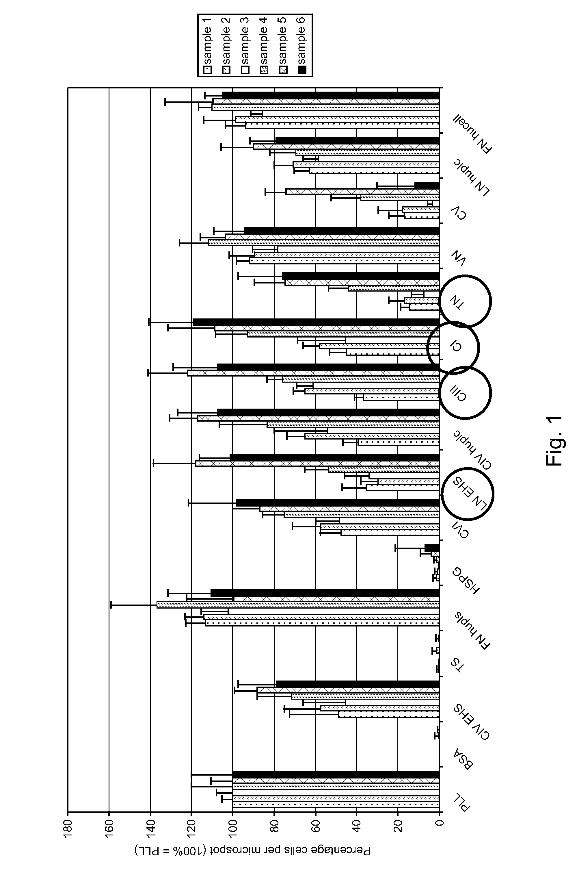 Isolation of mesenchymal stem cells