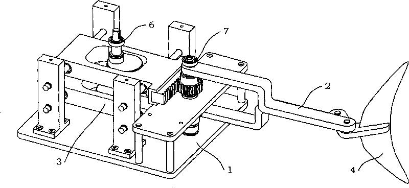 Double-cam single-degree-of-freedom machine fish flapping mechanism