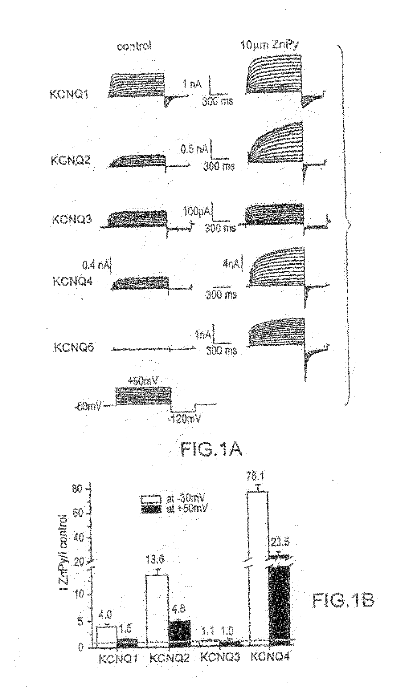 Method of Treating Kcnq Related Disorders Using Organozinc Compounds