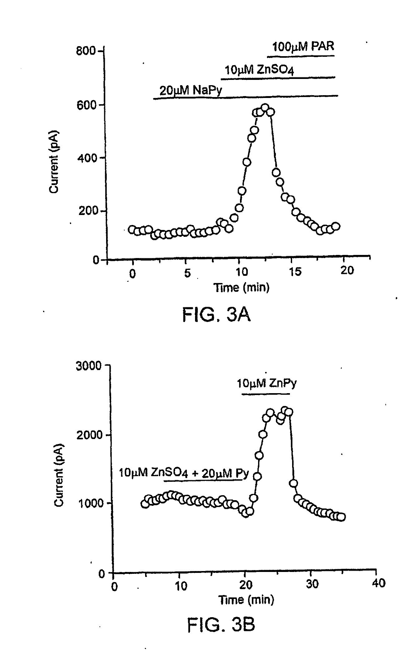 Method of Treating Kcnq Related Disorders Using Organozinc Compounds