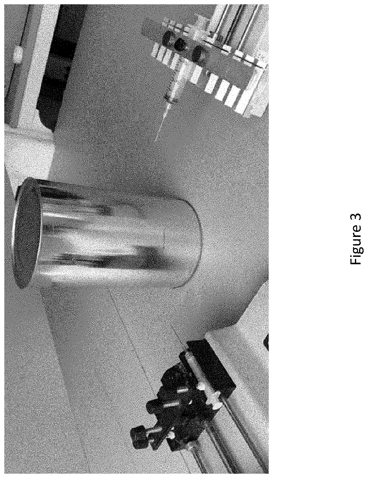 Graded Porous Scaffolds as Immunomodulatory Wound Patches