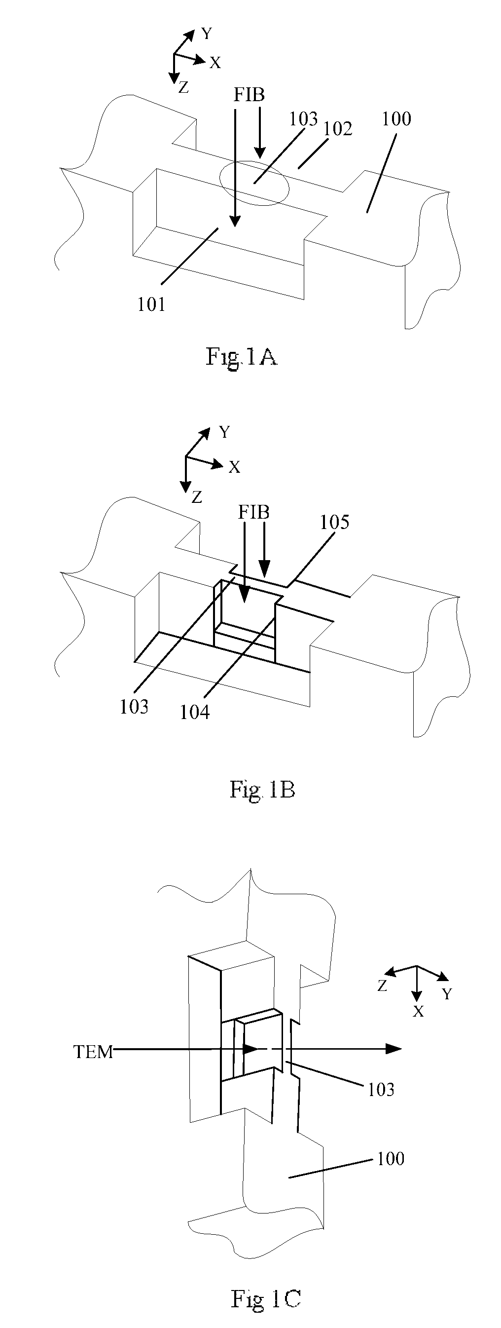 Method of preparing a sample for transmission electron microscopy